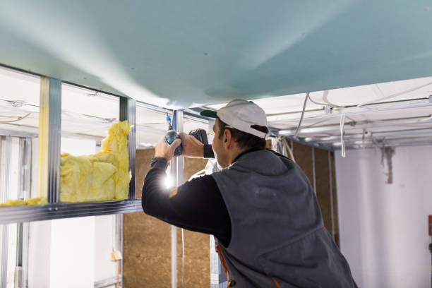 Best Geographic-Specific Insulation Services in Alva, FL