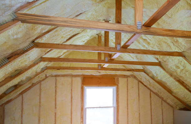 Types of Insulation We Offer in Alva, FL