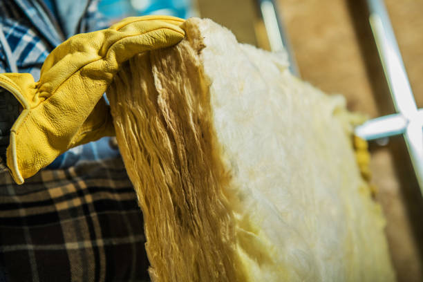 Best Eco-Friendly Insulation in Alva, FL