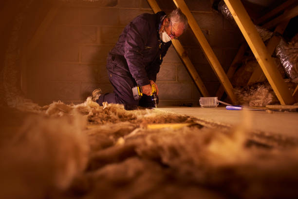 Best Insulation Maintenance and Repair in Alva, FL