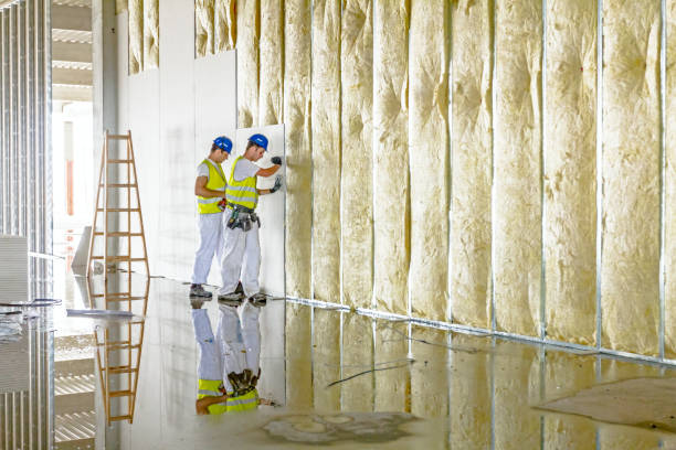 Best Spray Foam Insulation in Alva, FL